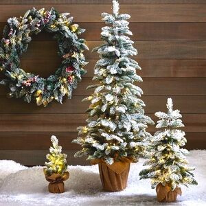 Pottery Barn 24” Lit Frosted Pine Tree Sold Out New In Box 🎄✨💫